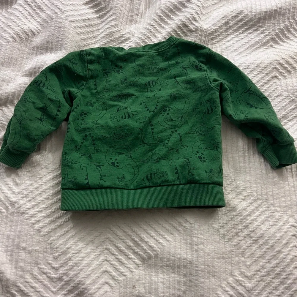 Carter’s Crewneck Sweatshirt Toddler 18 months‎ Dinosaurs Green GUC